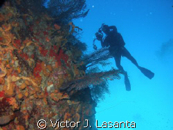 at the wall!! in balcones dive site at parguera area!!PUE... by Victor J. Lasanta 